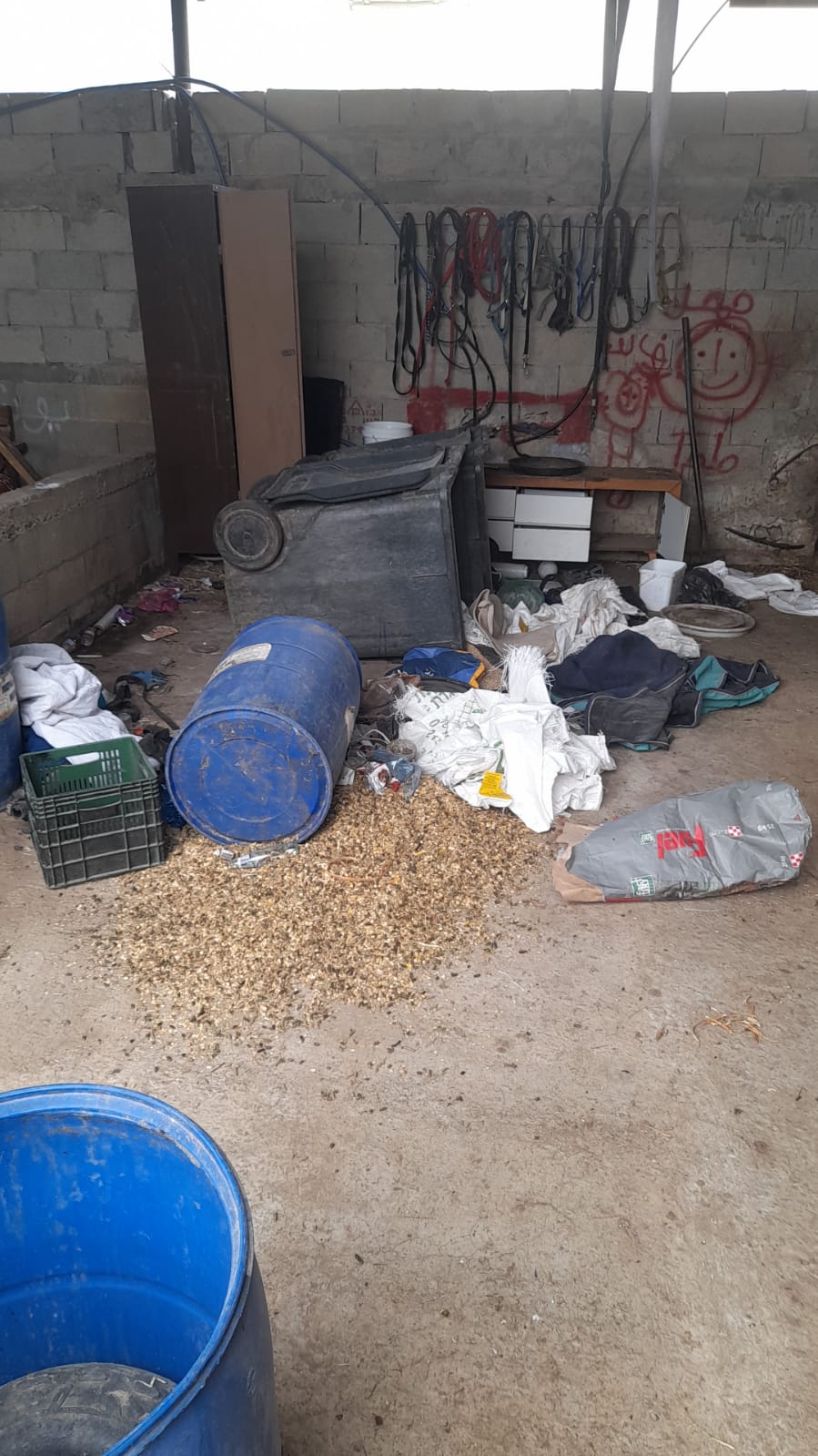 WhatsApp Image 2022-12-07 at 12.46.33 PM.jpeg